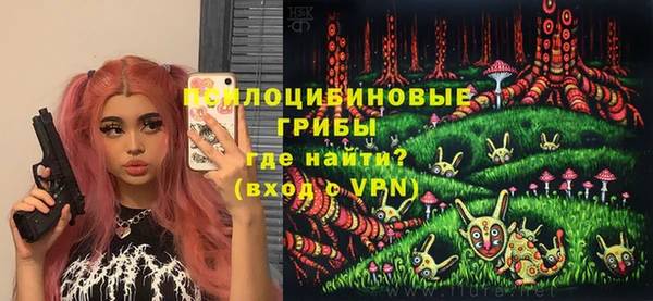Альфа ПВП Алзамай