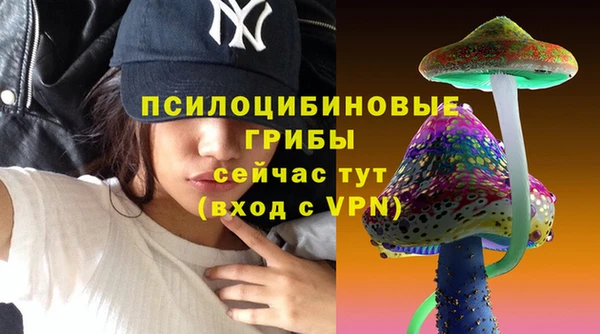 apvp Алексеевка